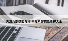 天龙八部技能介绍 天龙八部技能名称大全