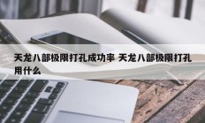 天龙八部极限打孔成功率 天龙八部极限打孔用什么